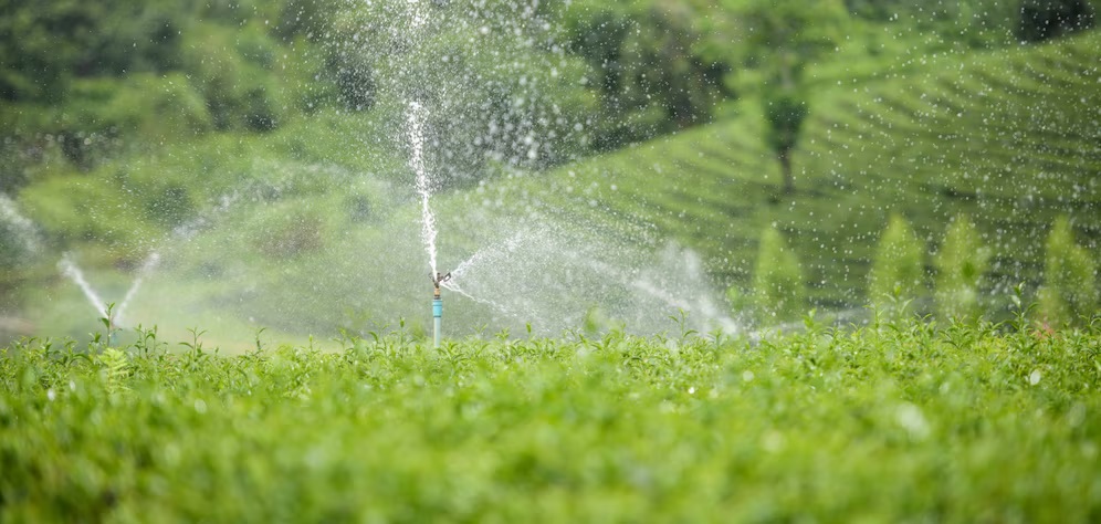 Irrigation Monitoring And Control